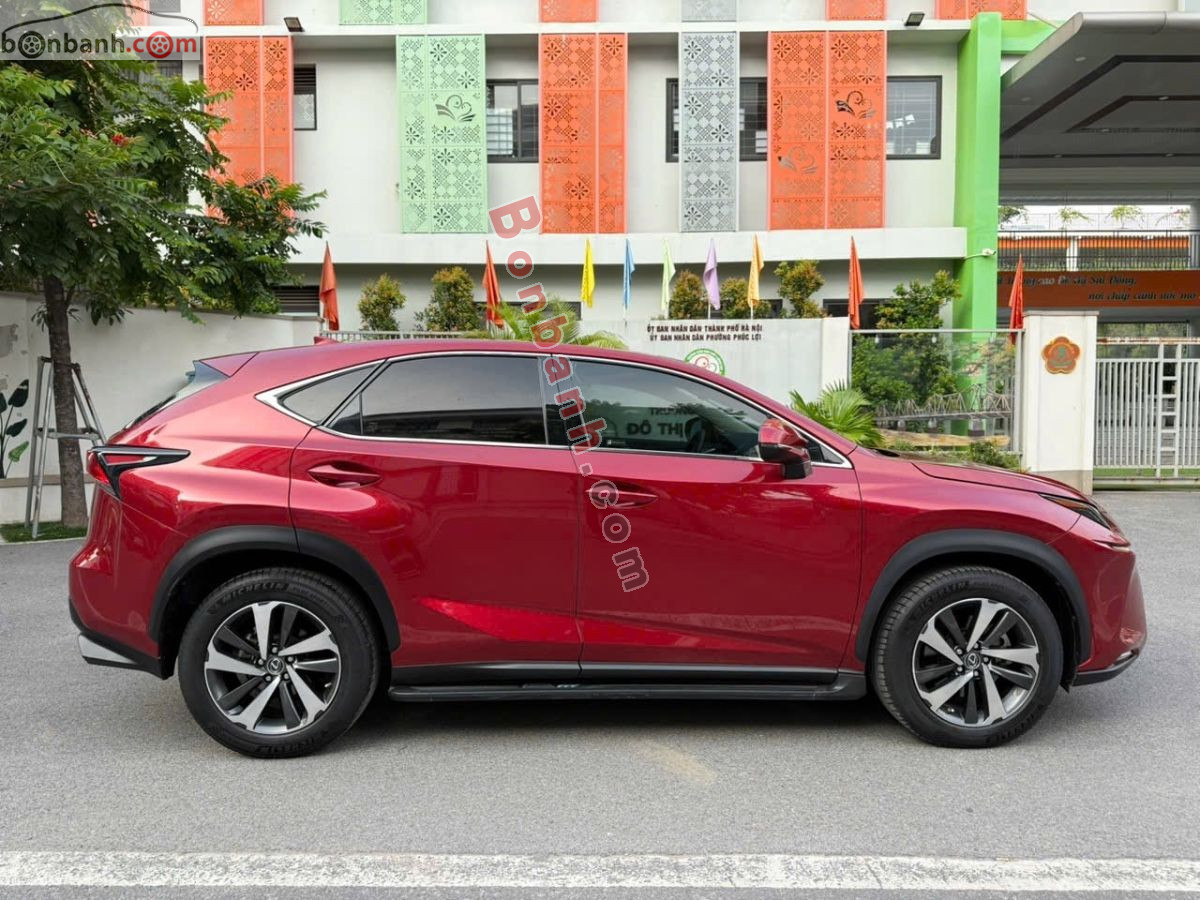 Lexus NX 300 2019 - 1 Tỷ 450 Triệu 3