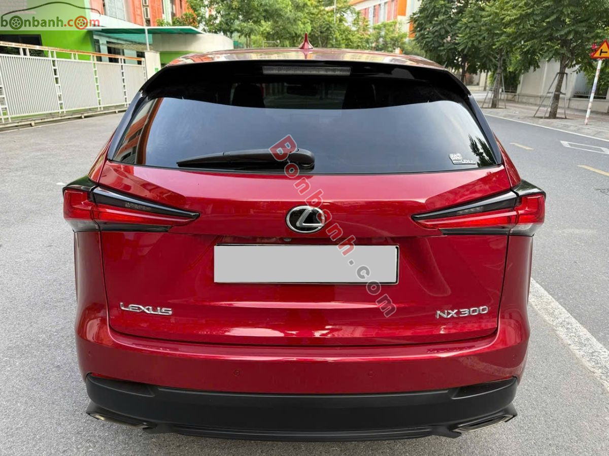 Lexus NX 300 2019 - 1 Tỷ 450 Triệu 6