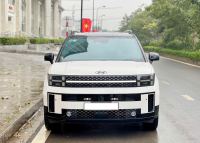 Bán xe Hyundai SantaFe 2024 Calligraphy 2.5L Turbo HTRAC giá 1 Tỷ 230 Triệu - Hà Nội