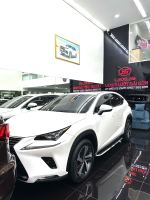 Bán xe Lexus NX 2019 300 giá 1 Tỷ 890 Triệu - TP HCM