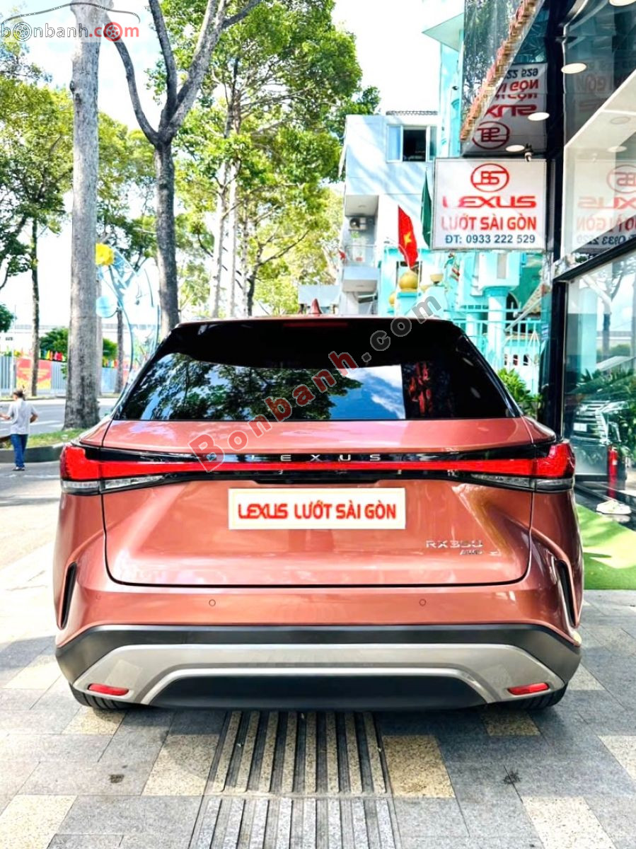 Lexus RX 350 Luxury 2023 - 3 Tỷ 380 Triệu 3