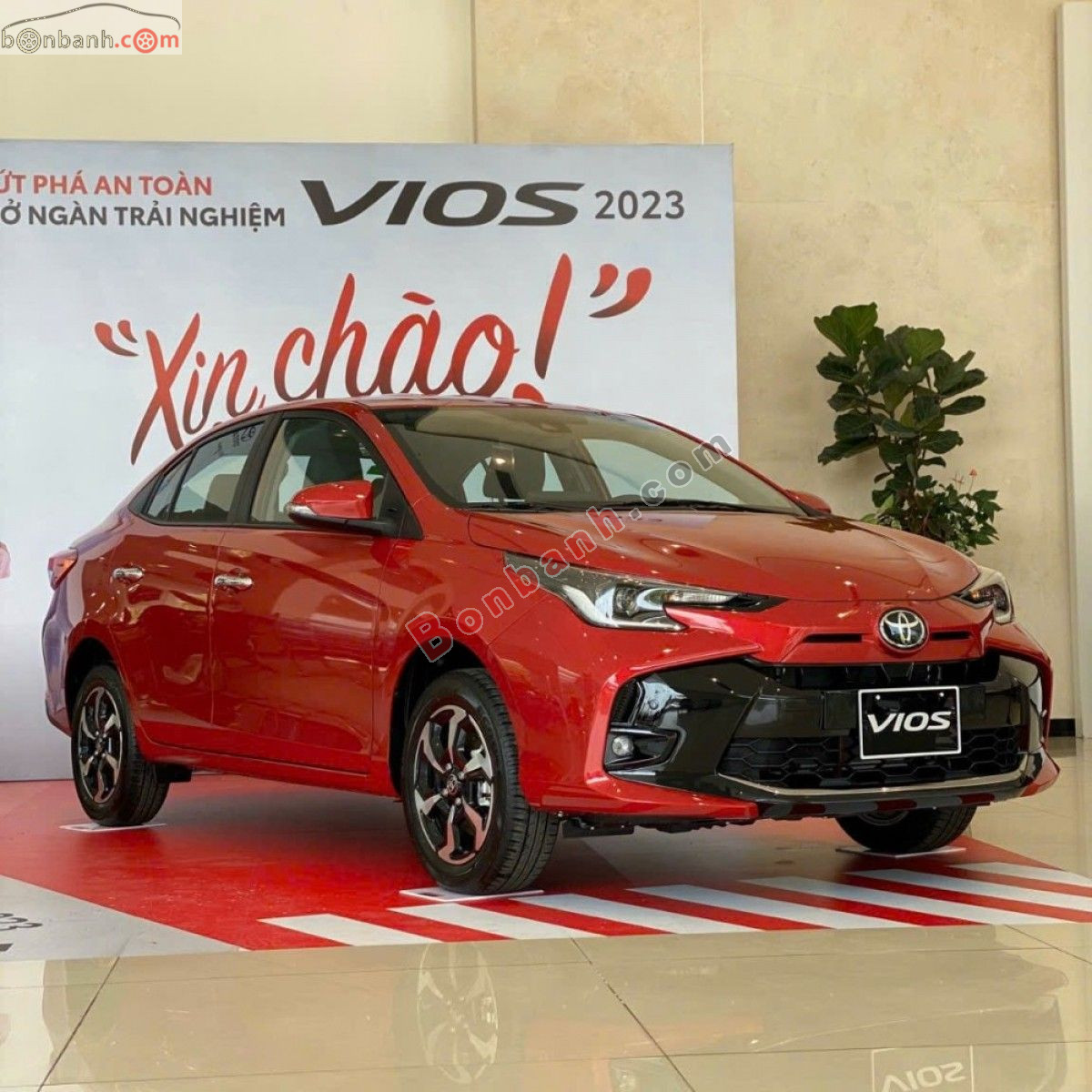 Toyota Vios G 1.5 CVT 2026 - 495 Triệu