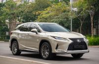 Bán xe Lexus RX 2021 300 giá 2 Tỷ 950 Triệu - Hà Nội