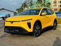 Bán xe VinFast Limo Green 2026 AT giá 610 Triệu - TP HCM
