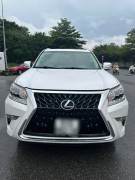 Bán xe Lexus GX 2013 460 giá 1 Tỷ 450 Triệu - TP HCM