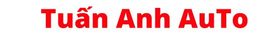 Tuấn Anh AuTo