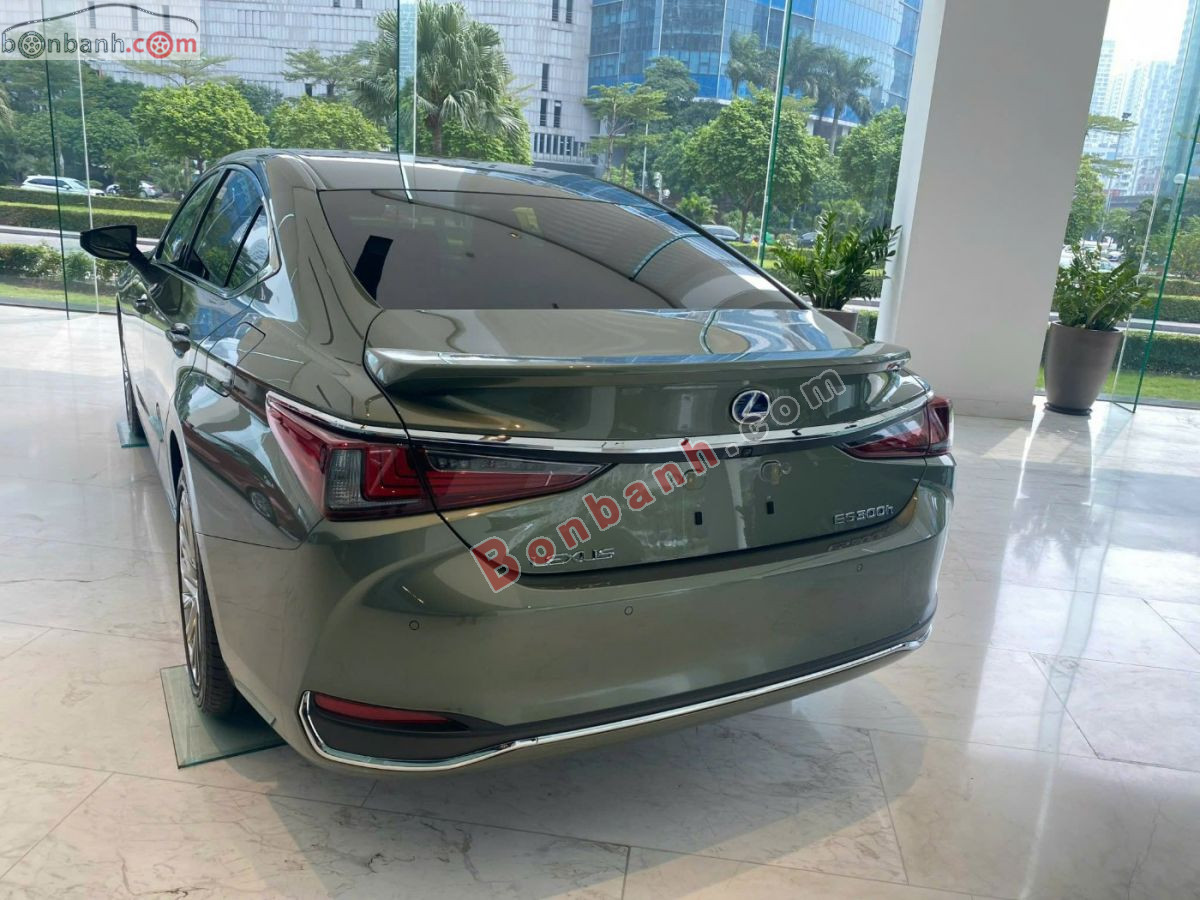 Ảnh số 7