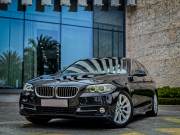 Bán xe BMW 5 Series 2016 520i giá 750 Triệu - Hà Nội