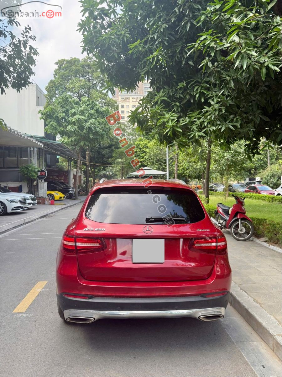 Mercedes Benz GLC 250 4Matic 2017 - 679 Triệu 3