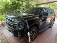 Bán xe Ford Everest 2025 Platinum 2.0L 4x4 AT giá 1 Tỷ 500 Triệu - Hà Nội