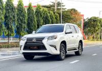 Bán xe Lexus GX 2010 460 giá 1 Tỷ 230 Triệu - TP HCM