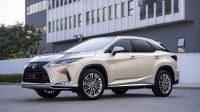 Bán xe Lexus RX 2021 300 giá 3 Tỷ 50 Triệu - TP HCM