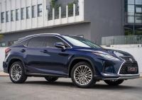 Bán xe Lexus RX 2022 300 giá 3 Tỷ 180 Triệu - TP HCM