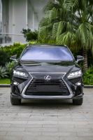 Bán xe Lexus RX 2019 300 giá 2 Tỷ 339 Triệu - TP HCM