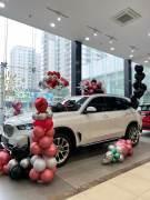 Bán xe BMW X5 2025 xDrive40i xLine giá 3 Tỷ 971 Triệu - Hà Nội