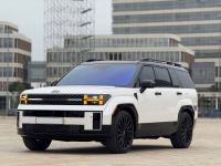 Bán xe Hyundai SantaFe 2024 Calligraphy 2.5L Turbo HTRAC giá 1 Tỷ 199 Triệu - Hải Phòng