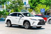 Bán xe Lexus RX 2020 300 giá 2 Tỷ 390 Triệu - Hà Nội