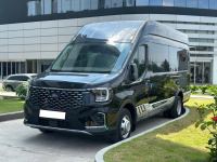 Bán xe Ford Transit 2024 Limousine 12S giá 1 Tỷ 499 Triệu - TP HCM