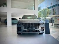 Bán xe Lynk & Co 09 Halo 2026 giá 2 Tỷ 199 Triệu - TP HCM