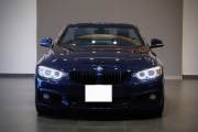 Bán xe BMW 4 Series 420i Convertible 2015 giá 1 Tỷ 259 Triệu - TP HCM