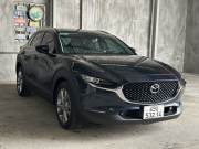 Bán xe Mazda CX 30 2022 Luxury 2.0 AT giá 655 Triệu - TP HCM