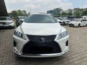Bán xe Lexus RX 2022 450h giá 3 Tỷ 650 Triệu - TP HCM