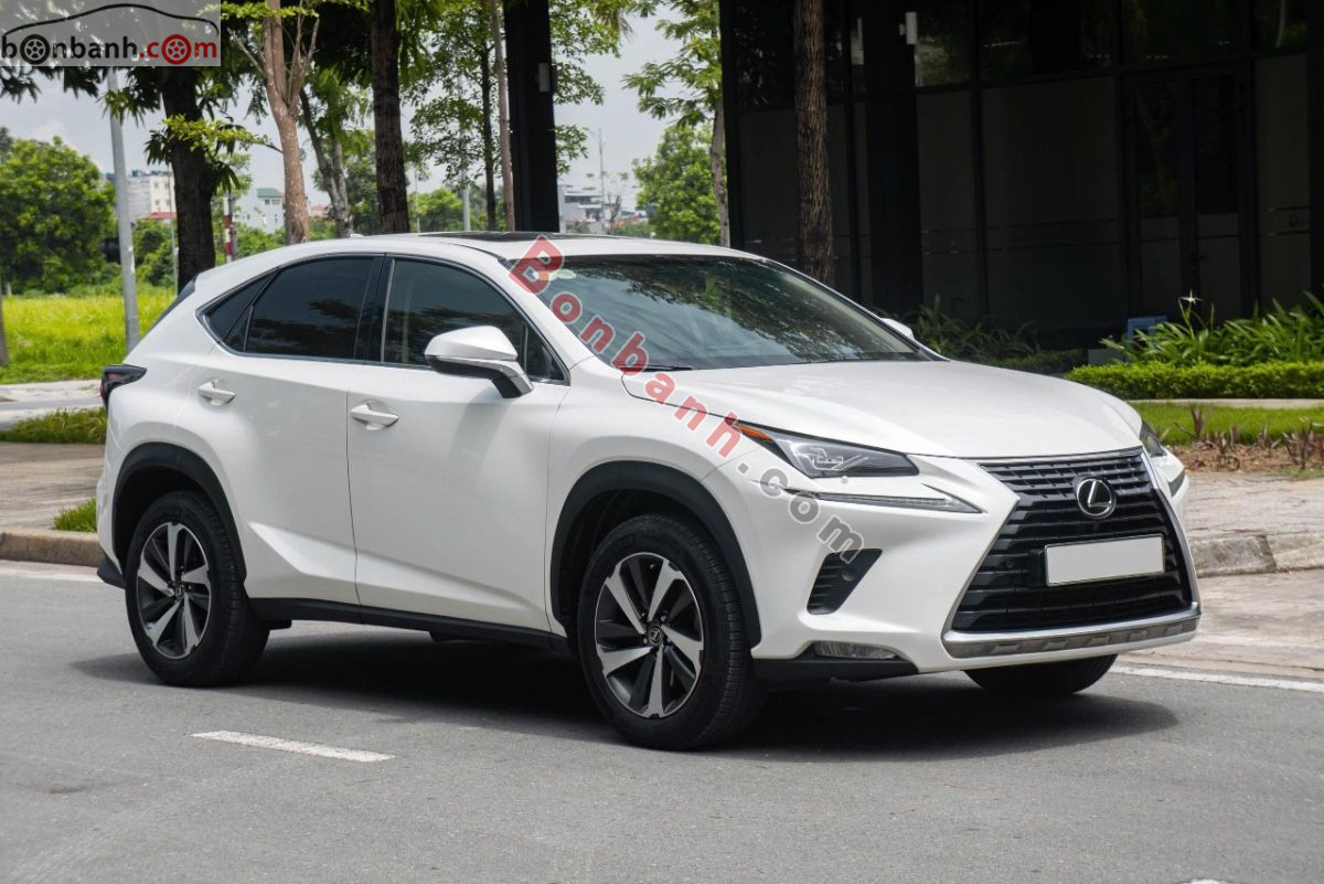 Lexus NX 300 2017 - 1 Tỷ 290 Triệu