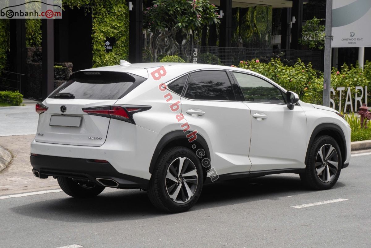 Lexus NX 300 2017 - 1 Tỷ 290 Triệu 4