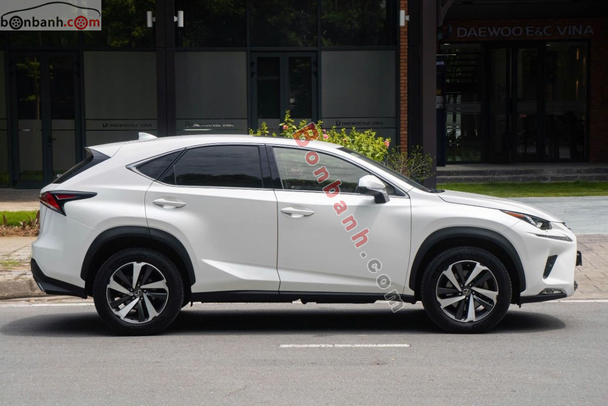 Lexus NX 300 2017 - 1 Tỷ 290 Triệu 3