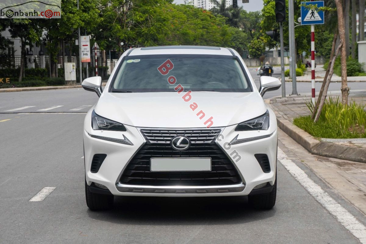Lexus NX 300 2017 - 1 Tỷ 290 Triệu 2
