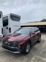 Bán xe Hyundai Tucson 2024 2.0 AT Tiêu chuẩn giá 769 Triệu - TP HCM