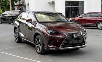 Bán xe Lexus NX 2019 300 giá 1 Tỷ 850 Triệu - Hà Nội