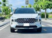 Bán xe Hyundai SantaFe Cao cấp 2.2L HTRAC 2024 giá 1 Tỷ 245 Triệu - TP HCM