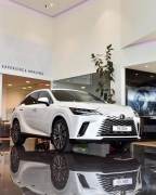 Bán xe Lexus RX 2025 giá 3 Tỷ 500 Triệu - Hà Nội