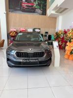 Bán xe Skoda Karoq 2025 Premium 1.4 AT giá 989 Triệu - TP HCM