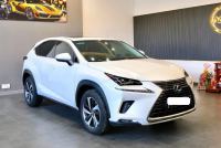 Bán xe Lexus NX 2018 300 giá 1 Tỷ 759 Triệu - TP HCM