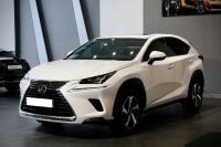 Bán xe Lexus NX 2019 300 giá 1 Tỷ 679 Triệu - TP HCM