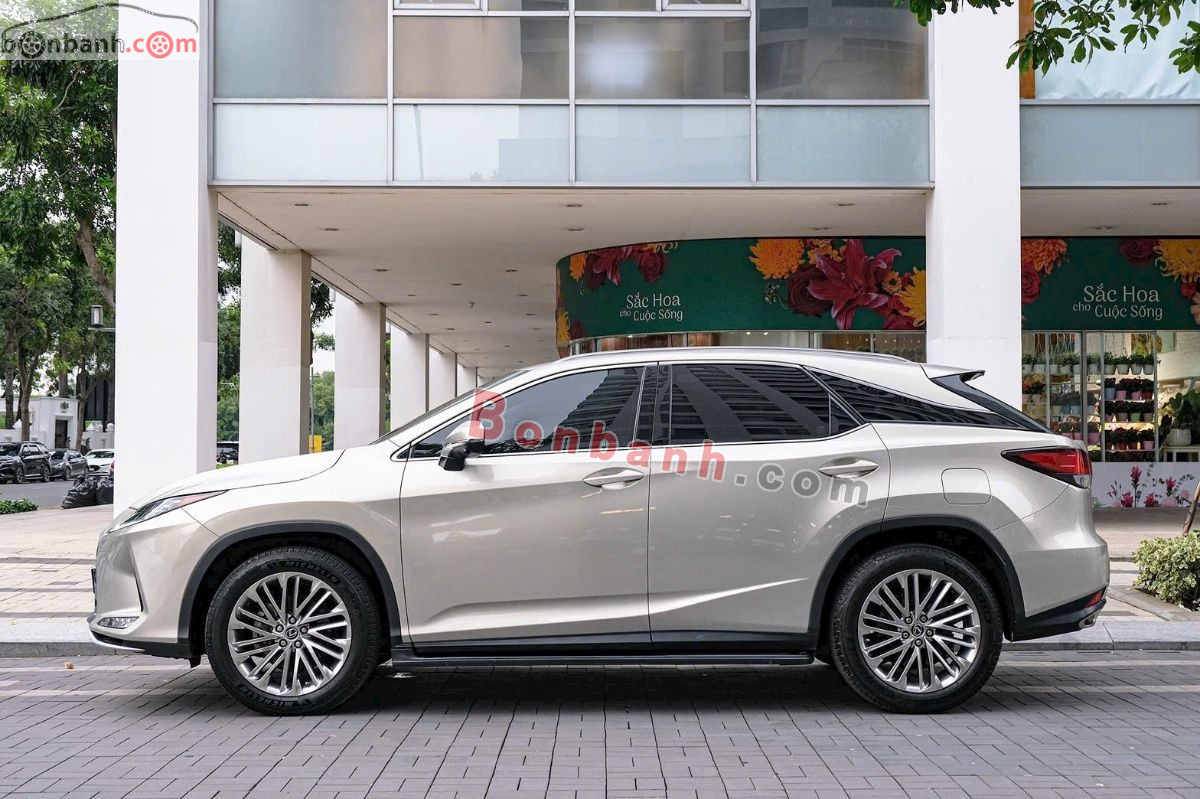 Lexus RX 300 2021 - 2 Tỷ 699 Triệu 2