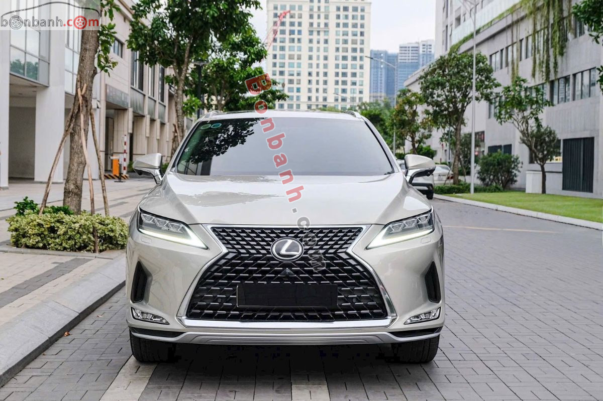 Lexus RX 300 2021 - 2 Tỷ 699 Triệu 4