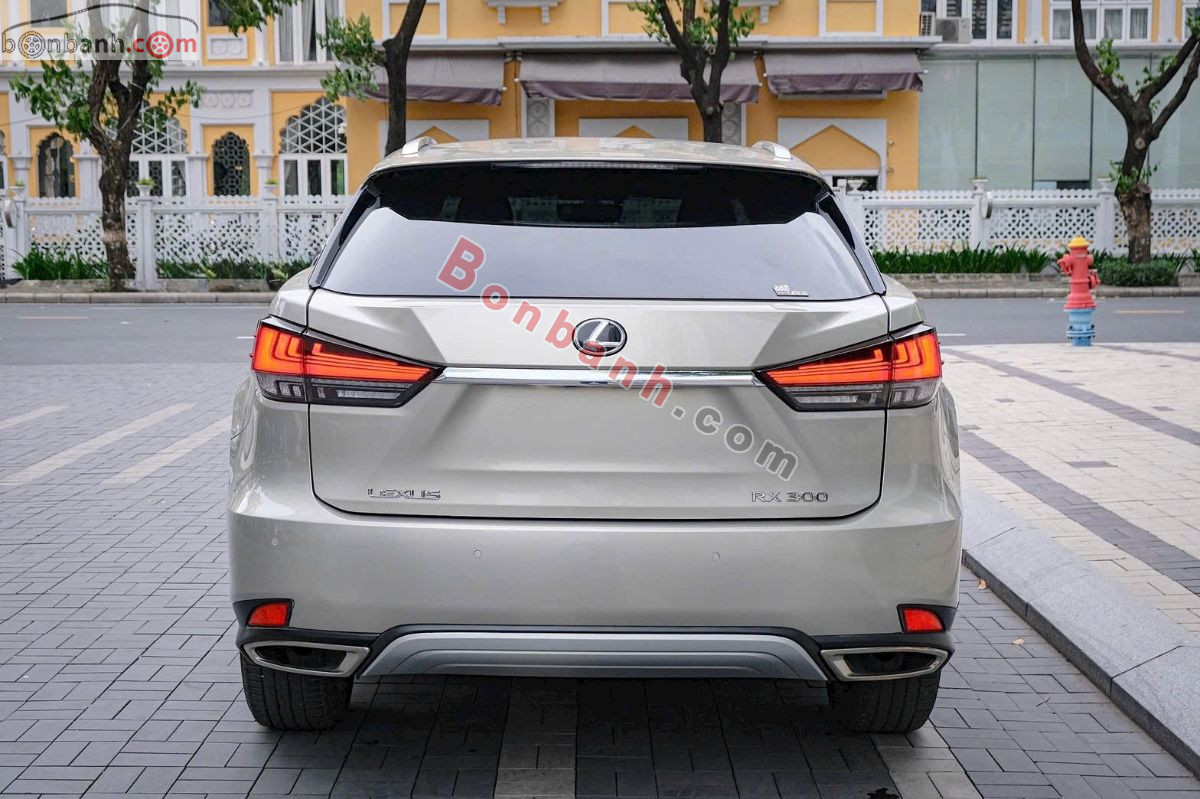 Lexus RX 300 2021 - 2 Tỷ 699 Triệu 5