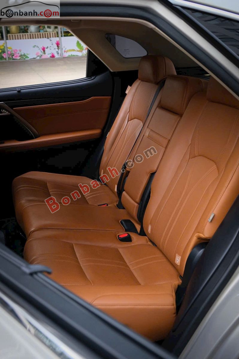 Lexus RX 300 2021 - 2 Tỷ 699 Triệu 8
