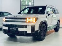 Bán xe Hyundai SantaFe 2025 Calligraphy 2.5L Turbo HTRAC giá 1 Tỷ 183 Triệu - Hà Nội