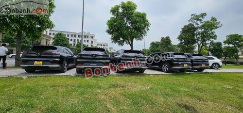 Ảnh số 6