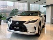 Bán xe Lexus RX 2022 300 giá 3 Tỷ 180 Triệu - Hà Nội