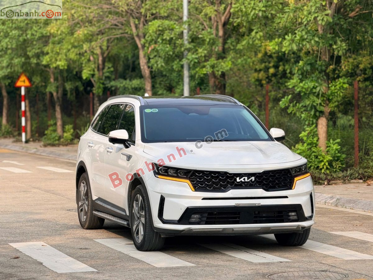 Kia Sorento Signature 2.2D AT 2025 - 1 Tỷ 35 Triệu 2