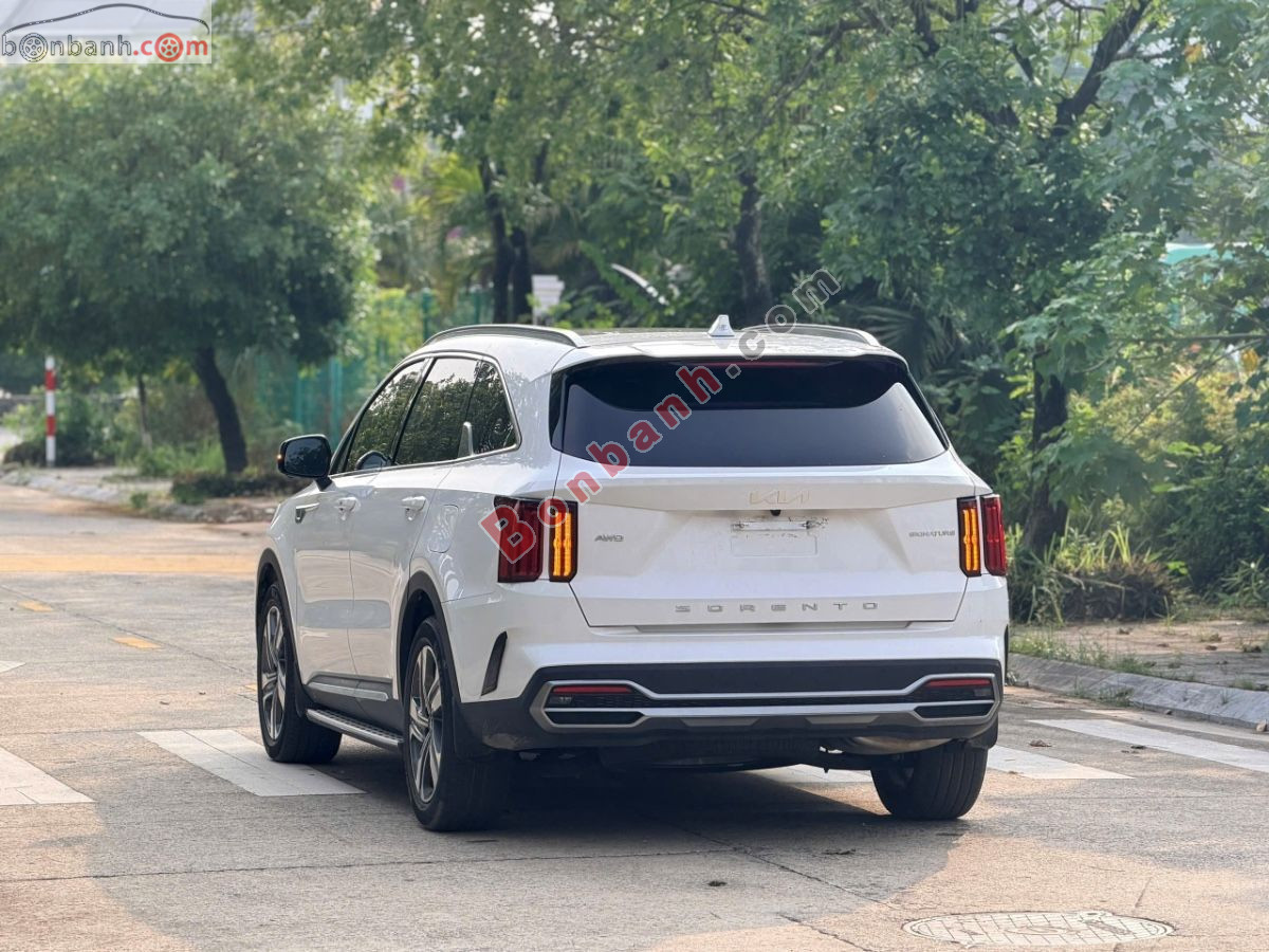 Kia Sorento Signature 2.2D AT 2025 - 1 Tỷ 35 Triệu 5