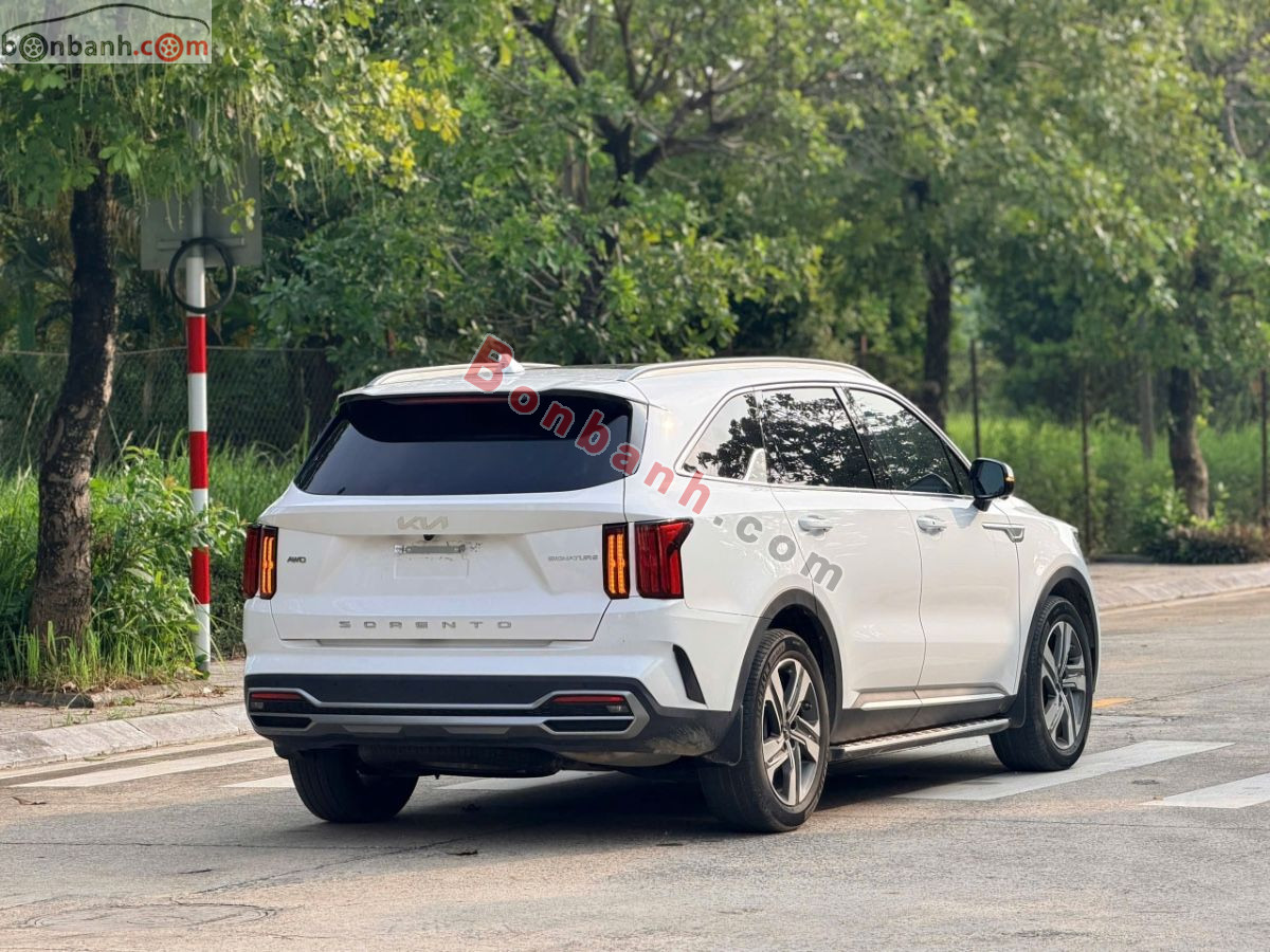 Kia Sorento Signature 2.2D AT 2025 - 1 Tỷ 35 Triệu 6