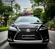 Bán xe Lexus RX 2021 300 giá 2 Tỷ 959 Triệu - TP HCM