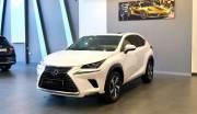 Bán xe Lexus NX 2018 300 giá 1 Tỷ 759 Triệu - TP HCM