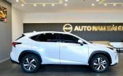 Bán xe Lexus NX 2018 300 giá 1 Tỷ 759 Triệu - TP HCM